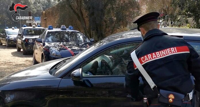 Gioia Tauro, cane denutrito e malato salvato dai Carabinieri ...