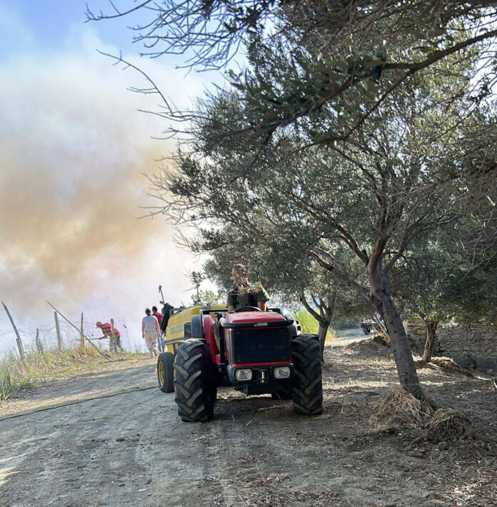 Incendio-Coldiretti-Calabria-4